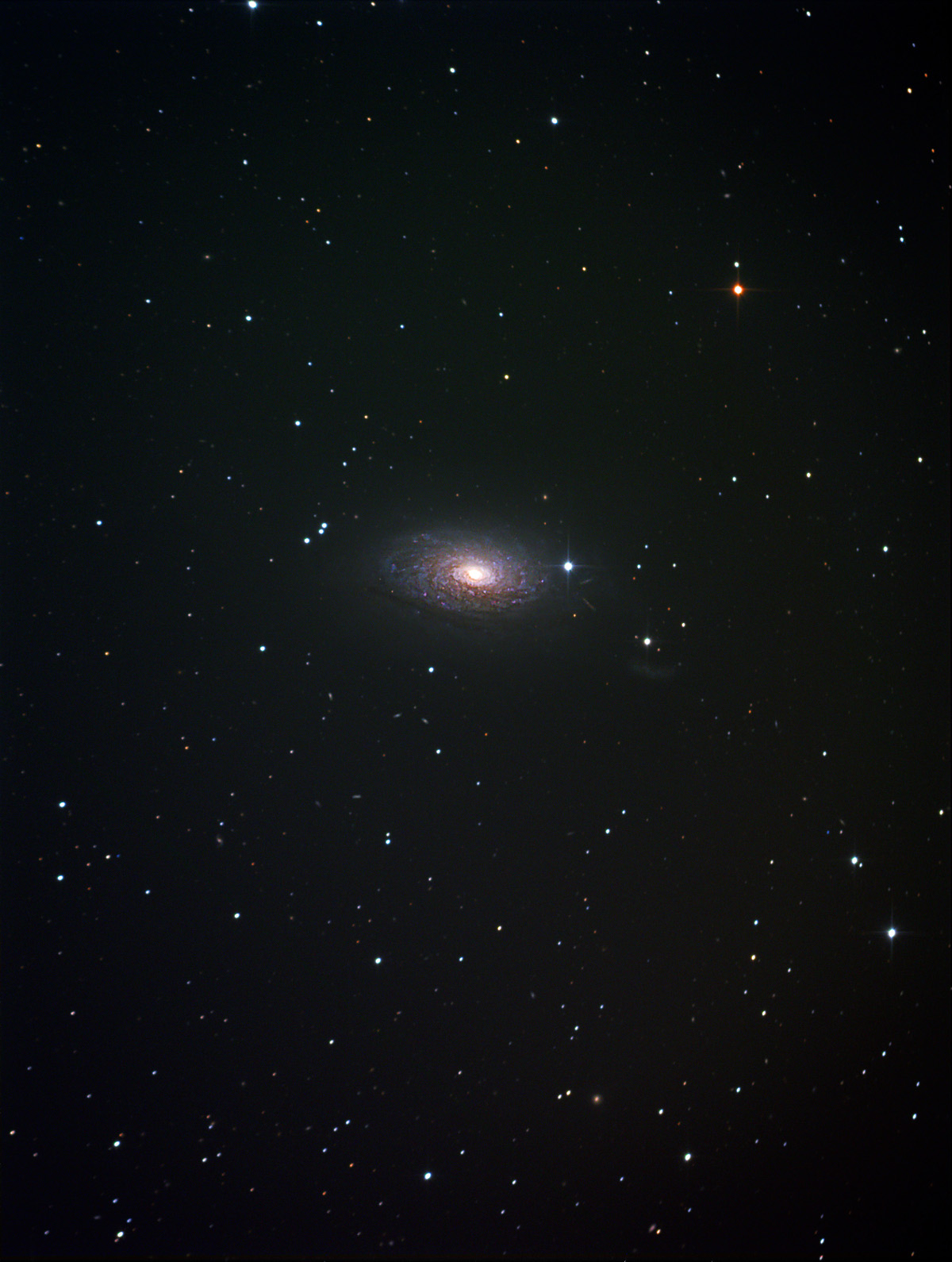 M63 Sonnenblumengalaxie
